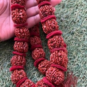 Rudraksh mala 5 mukhi